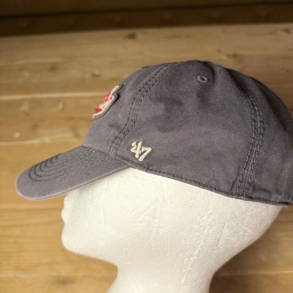 47 Brand Albuquerque Isotopes Hat Womens Gray MiLB Baseball Cap Adjustable - Picture 4 of 7